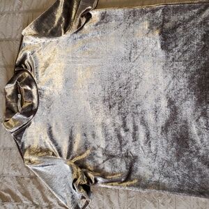 ZARA Trafaluc Silver crushed Velvet like short sleeve mock neck top size M EUC